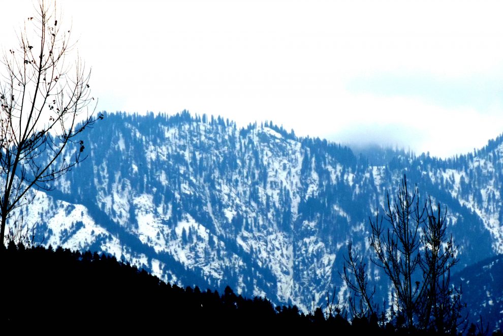 Srinagar records coldest night of season at -3 degree, fresh snow prediction from today