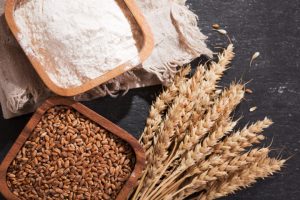The Science of Wheat: Read an excerpt from Krish Ashok's book "Masala Lab"