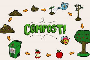 The science and the art of composting: Read about the composting process in a nutshell