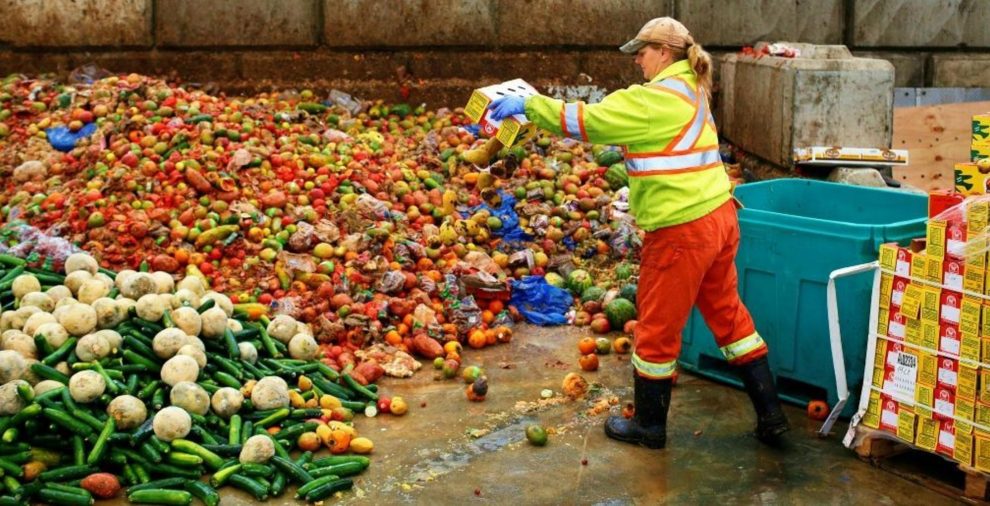 Food Waste Index Critical, Govts’ Must Ponder The Dispatch