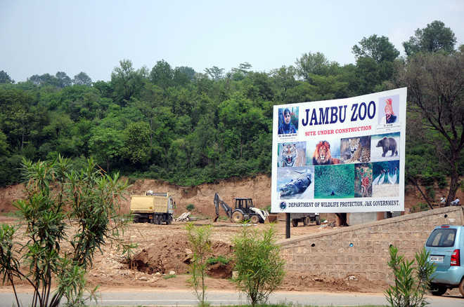 Jambu Zoo: Govt to take action against contractors for slow pace of work