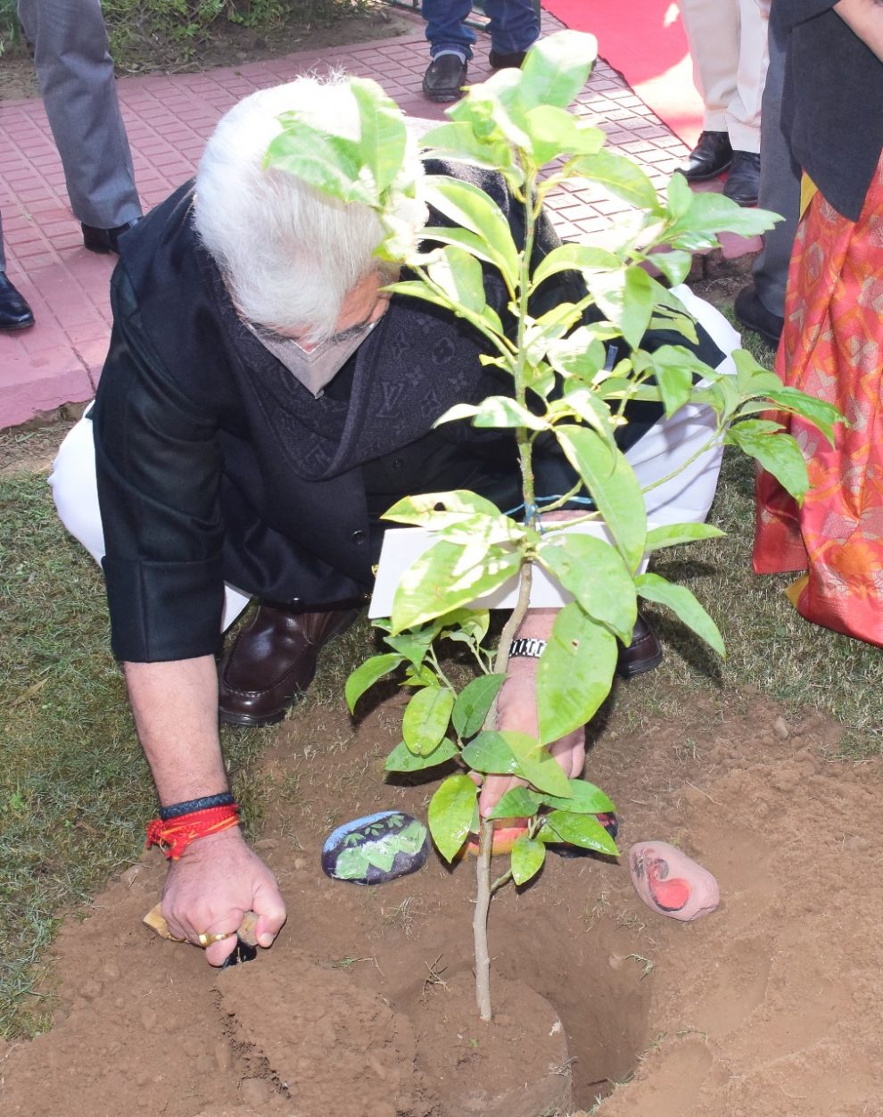 J&K sets target of planting 1 crore 30 lakh saplings this year: LG