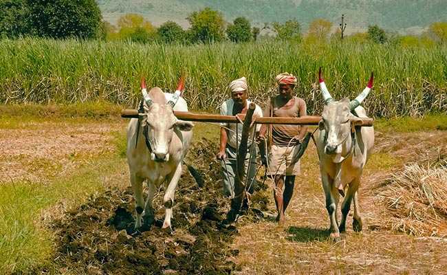 Govt forms Irrigation Schedule Committee to facilitate farmers