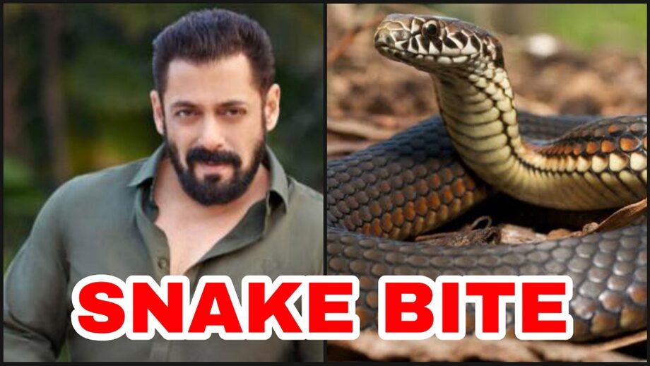 Salman Khan on snake bite: I told my father, both 'Tiger' and snake are alive