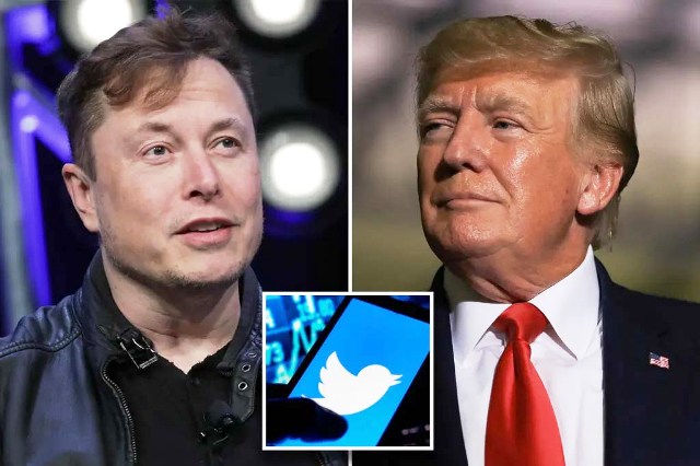 Elon Musk asks Twitter users to vote on reinstatement of Donald Trump