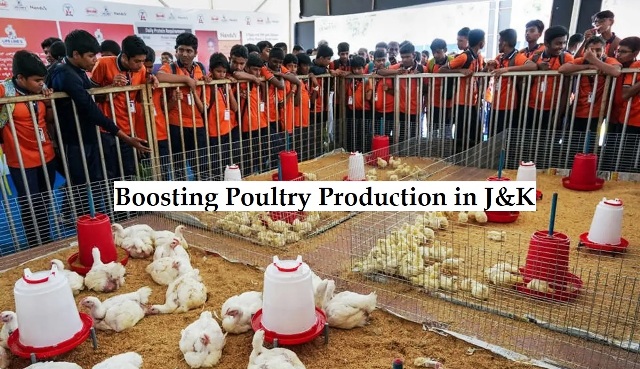 J&K Poultry Sector: 420 enterprises, 4000 jobs to be created across UT
