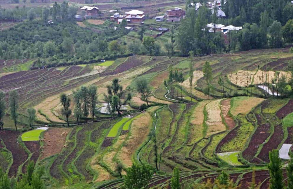 Over 8000 hectares of agriculture land lost in Kulgam in last 10 years