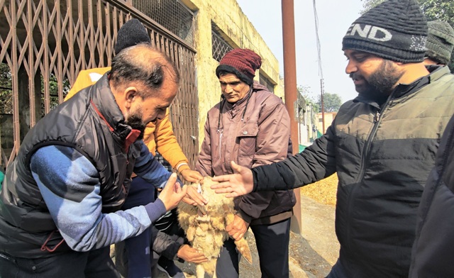 ‘Small Ruminant Reproduction and Artificial Insemination’ training concludes at SKUAST-Jammu