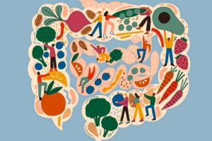 On why the gut microbiome is essential for maintaining health