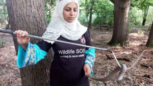 Meet Alia Mir, J&K's first woman wildlife rescuer, honoured with Wildlife Conservation Award
