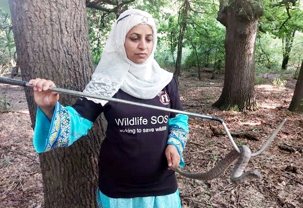 Meet Alia Mir, J&K’s first woman wildlife rescuer, honoured with Wildlife Conservation Award