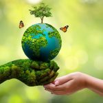 World Environment Day: Time is running out