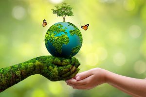 World Environment Day: Time is running out