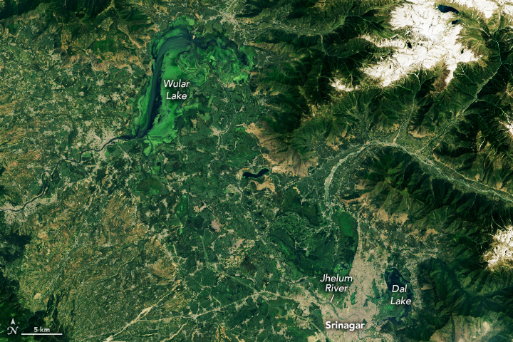 Dal Lake, Wular Lake shrinking reveals NASA