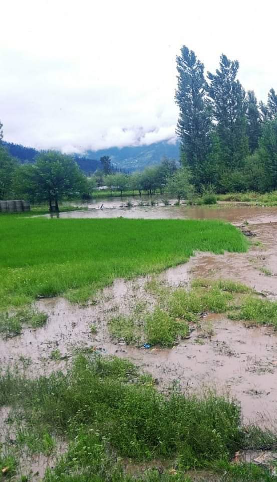 Flashfloods damage crop, orchard in Kupwara
