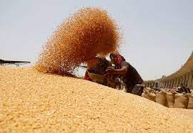 Wheat Imports: 8 Fold Pay Rise Needed