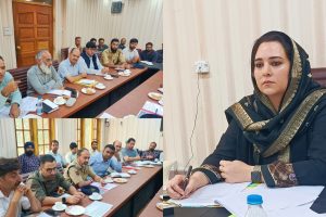 Expedite progress of works to accomplish them in working season: Dr  Sehrish directs executing agencies